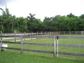 Enlarge photo 55