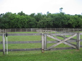 Enlarge photo 56