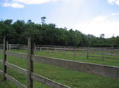 Enlarge photo 58