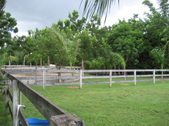 Enlarge photo 59