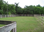 Enlarge photo 60
