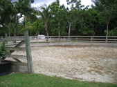 Enlarge photo 62