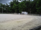 Enlarge photo 61