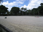 Enlarge photo 63