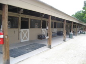 Enlarge photo 119