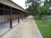 Enlarge photo 151