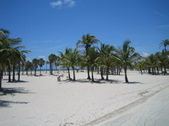 Enlarge photo 33