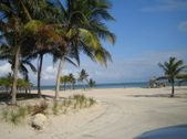 Enlarge photo 39