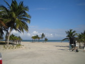 Enlarge photo 40