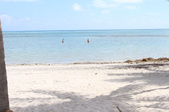 Enlarge photo 76