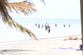 Enlarge photo 78