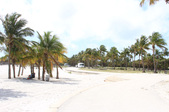Enlarge photo 79