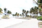 Enlarge photo 80