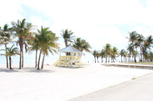 Enlarge photo 81