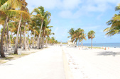 Enlarge photo 83