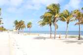 Enlarge photo 84