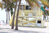 Enlarge photo 85