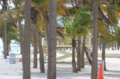 Enlarge photo 87