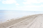 Enlarge photo 88