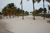 Enlarge photo 43