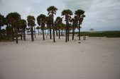 Enlarge photo 45