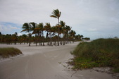 Enlarge photo 57