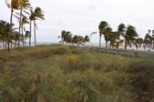 Enlarge photo 58