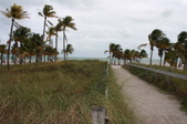 Enlarge photo 60
