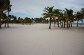 Enlarge photo 65
