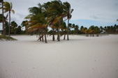 Enlarge photo 66