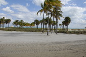 Enlarge photo 95