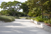 Enlarge photo 96