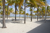 Enlarge photo 97