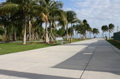 Enlarge photo 37
