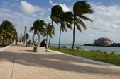 Enlarge photo 43