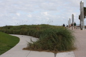 Enlarge photo 49