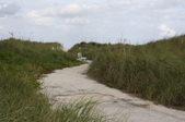 Enlarge photo 51