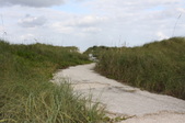 Enlarge photo 52