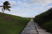Enlarge photo 62