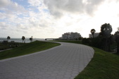 Enlarge photo 65