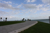 Enlarge photo 66