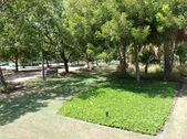 Enlarge photo 165