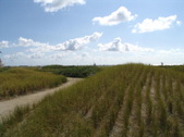 Enlarge photo 96