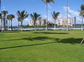 Enlarge photo 103