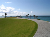 Enlarge photo 113
