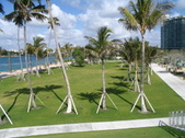 Enlarge photo 116