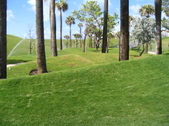 Enlarge photo 92
