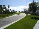 Enlarge photo 151