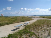 Enlarge photo 155
