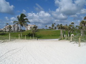 Enlarge photo 156